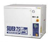 NEW SILVER 5,5