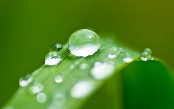 Содержание влаги в сжатом воздухе. "Точка росы"