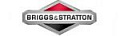 Briggs & Stratton
